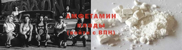 гидра Богородск