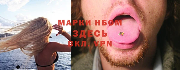 гидра Богородск