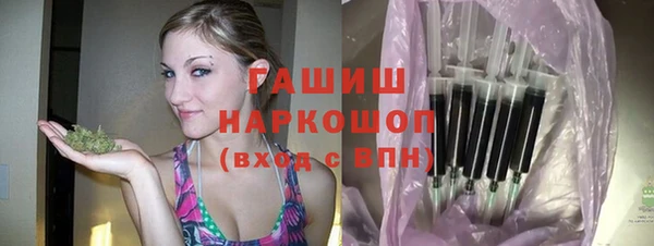 гидра Богородск