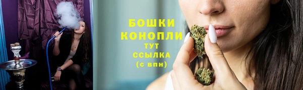 гидропоника Богданович